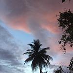 Kai Tai Nam Restaurant